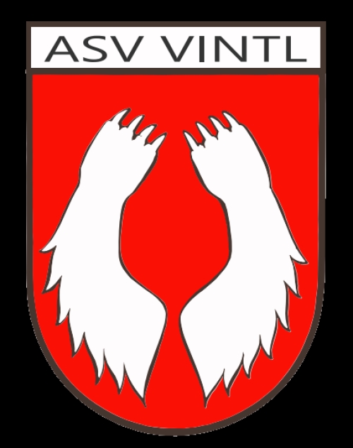 Amateursportverein Vintl