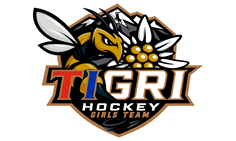 Team TIGRI 